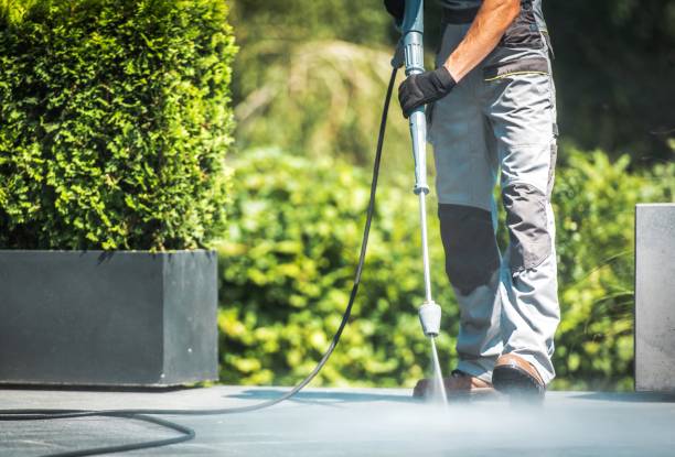 Best Roof Cleaning and Mildew Removal in Keller, TX